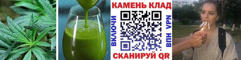 omg tor  хочу наркоту  Инсар  Еда ТГК марихуана 
