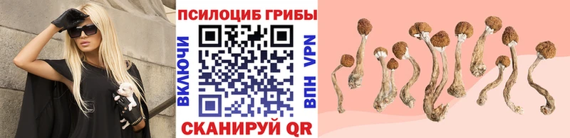 Псилоцибиновые грибы мухоморы  Инсар 