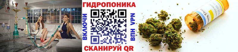 гидра сайт Инсар Канабис THC 21%